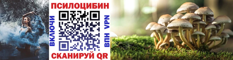 купить наркотик  Елизаветинская  ссылка на мегу сайт  Псилоцибиновые грибы Magic Shrooms 