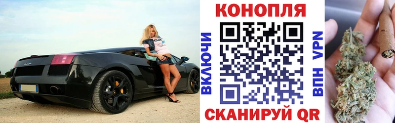 как найти закладки  Елизаветинская  Бошки марихуана план 